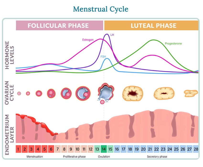 how-to-treat-irregular-menstrual-cycle-17-ways