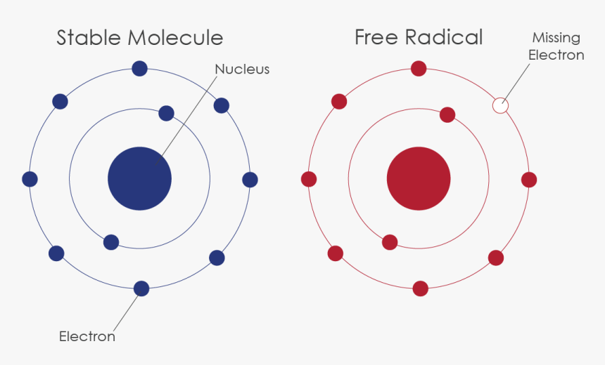 जानिए Free Radicals (फ्री रैडिकल्स) के बारे में: उनके प्रभाव, स्रोत, और संतुलन।