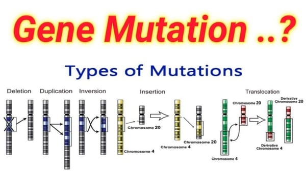 Gene Mutation and Types